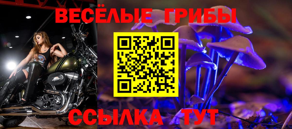 Псилоцибиновые грибы мицелий Сегежа